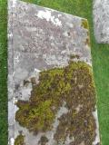 image of grave number 266646